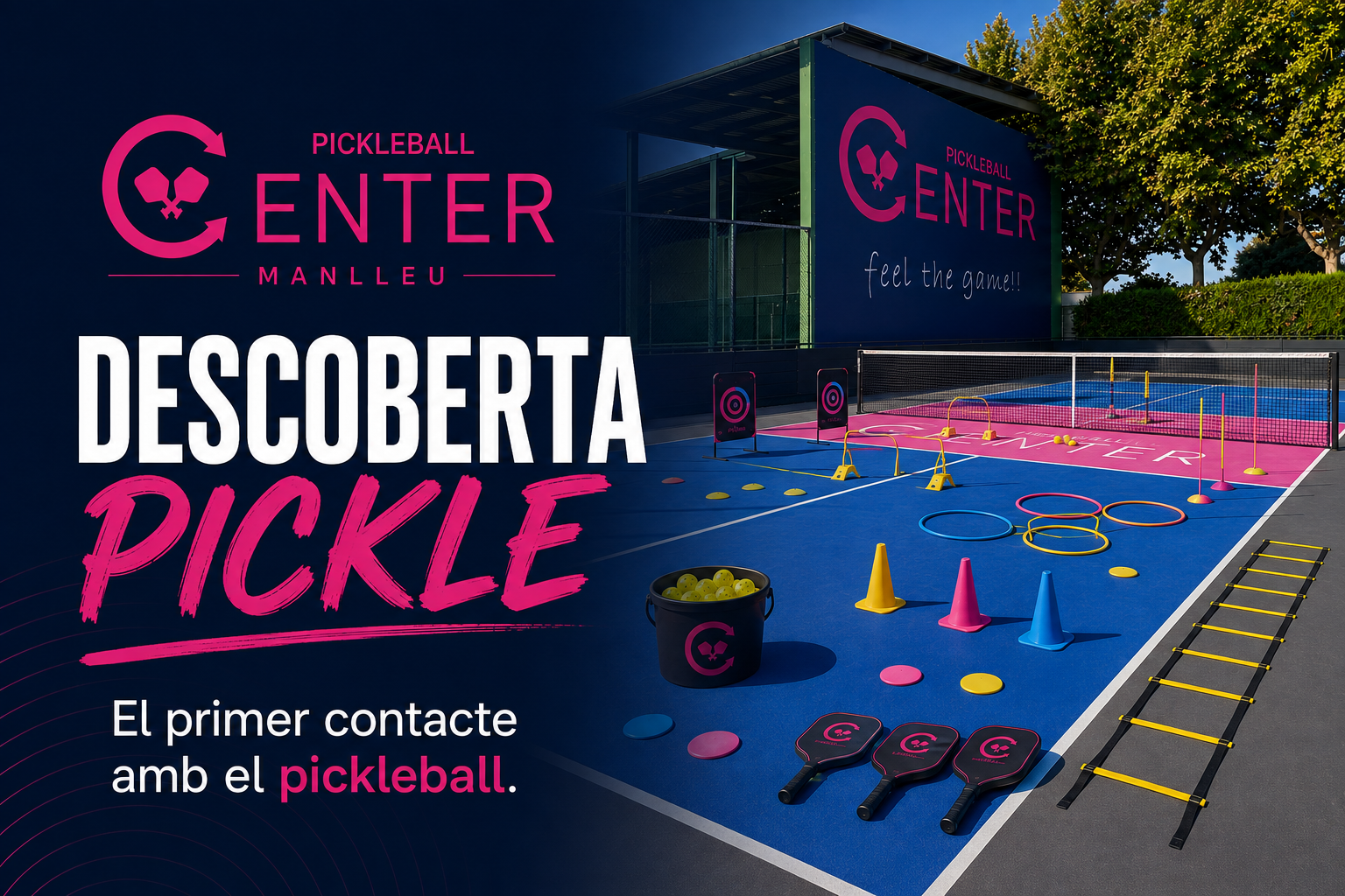 Descoberta Pickle